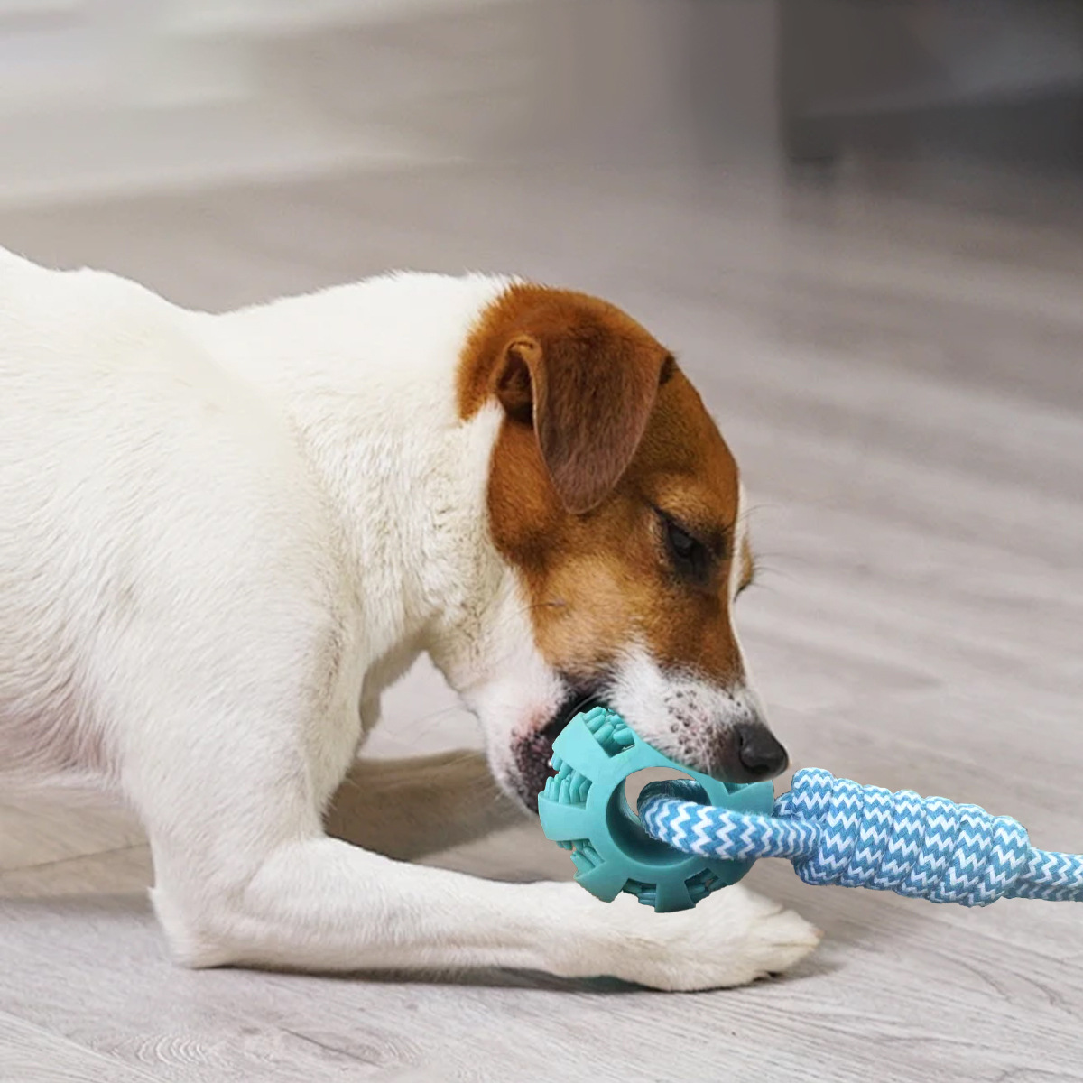 Gioco per cani anguria con corda da tiro e dispenser snack_voghion.com