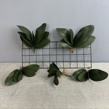 ��������m�~�ָ��m���~�����m���Լٻ��m���~�Ҿ��b�ޥ�m�~