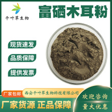 ����ľ���� 500ppm ����ľ����ȡ����ǧҶ���ֻ���Ӧ����ľ����