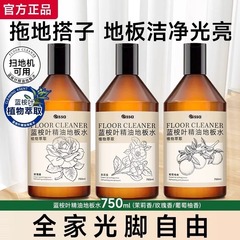 青いユーカリのエッセンシャルオイルの雰囲気の床の清潔剤の木の床のタイルは地面の専用の清潔な液体を洗って汚れを取り除きます。