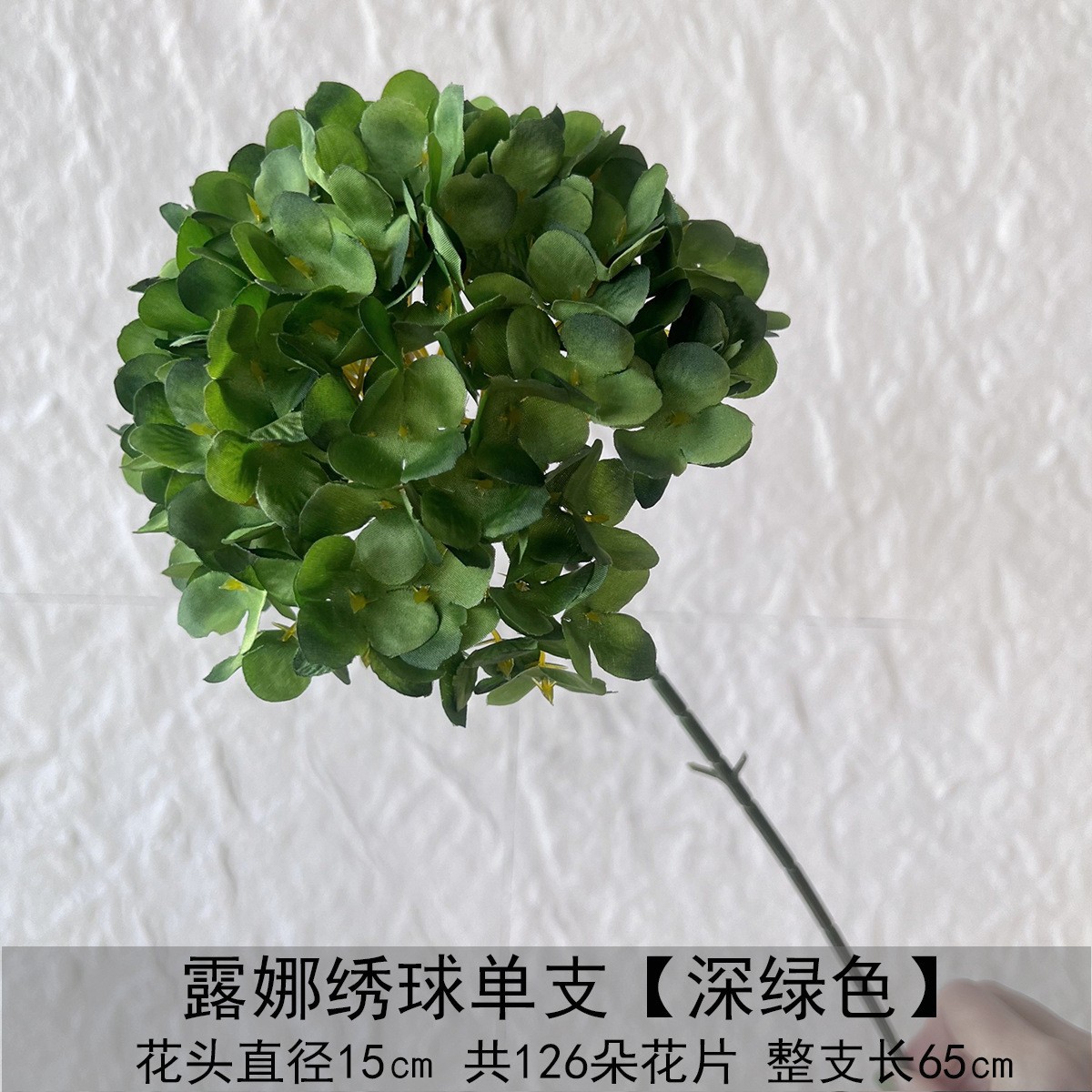 Una sola Hortensia de luna - verde oscuro