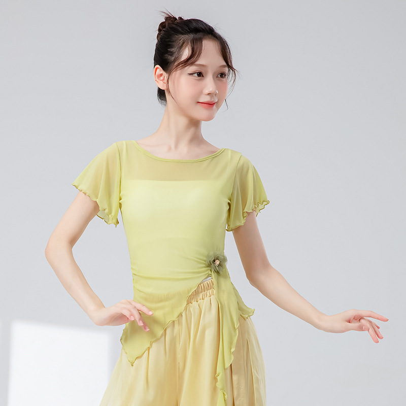 古典舞蹈服女新款钉花飘带修身短袖网纱花朵上衣飘逸演出练功服装|undefined