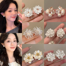 С�������鲻���Q�������h���s�p�ݸ߼��ж���OӋ��С��������l