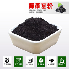 批发黑桑葚粉纯果蔬粉食品原料现磨天然黑桑葚干泡水冲饮即食厂家