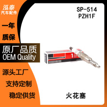 �����ڸ���Ұ��̽����ˮ�ǵ�ɽ��SP-514����PZH1F SP514���