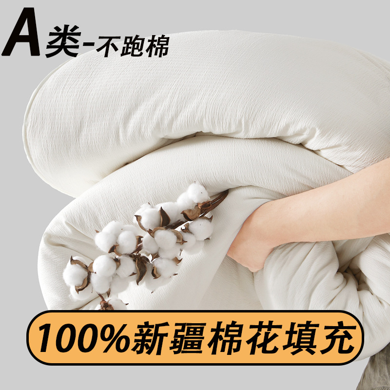 冬季A类100%新疆棉花被子被芯纯棉加厚保暖秋冬被宿舍棉花被褥子