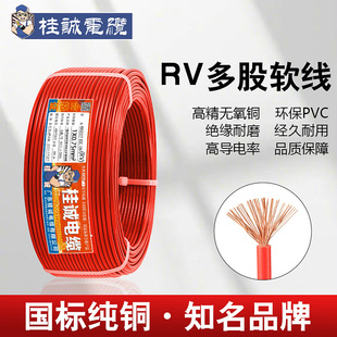 ���˼��~RV��Ӿ�0.3/0.75/1.5/2.5ƽ��ܛ����侀��Ɇ�оܛ늾�