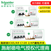 ʩ͵©_PIC65 Vigi C120H 2/4P D80/100/125A ©는·