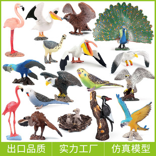 �羳���挍���w���B���ģ�����������W�^��ȸ؈�^����ľ�B���