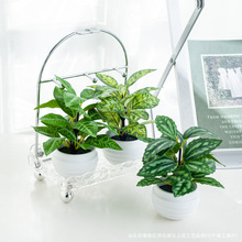 ����Gֲ�����辰�ٻ��k�������k����С���Կ͏d�ҾӔ[����������