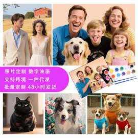 定制diy数字油画照片填色画自定义图片油彩画厂家一件代发装饰画