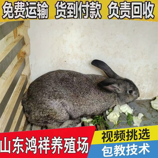 ���������r�Ãr��ă������r���Bֳǰ���N�ÏS��ֱ�N�����r����