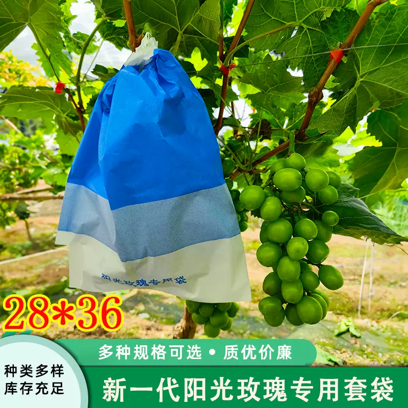 工厂直发阳光玫瑰葡萄专用套袋防鸟防虫防水三色袋28*36水果纸袋