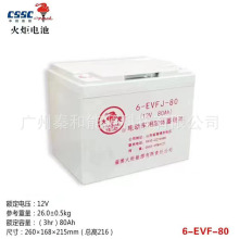 火炬电动车用胶体蓄电池6-EVFJ-80 游览观光车高尔夫球车12V80A