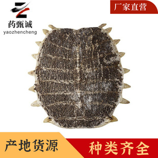 �M����ș���Ƭ�����x�oѬ��o�s�| �M���M���� Դ�^���S����r��
