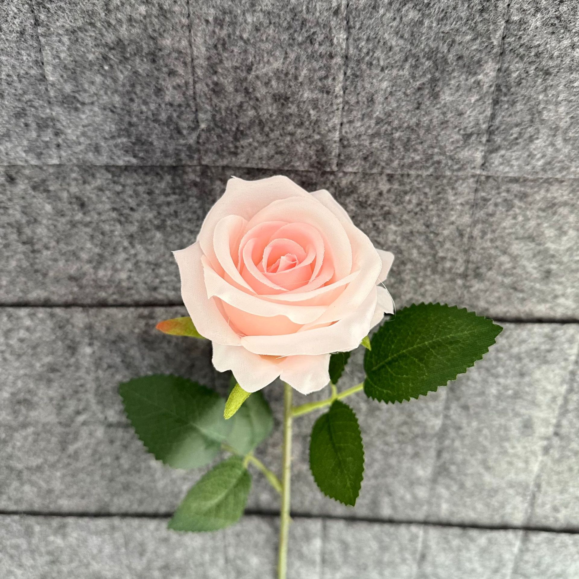 플라밍고 가루