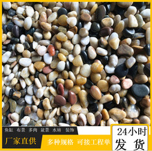 鹅卵石南京雨花石原石天然五彩石鱼缸彩色小石头子造景花盆栽铺面