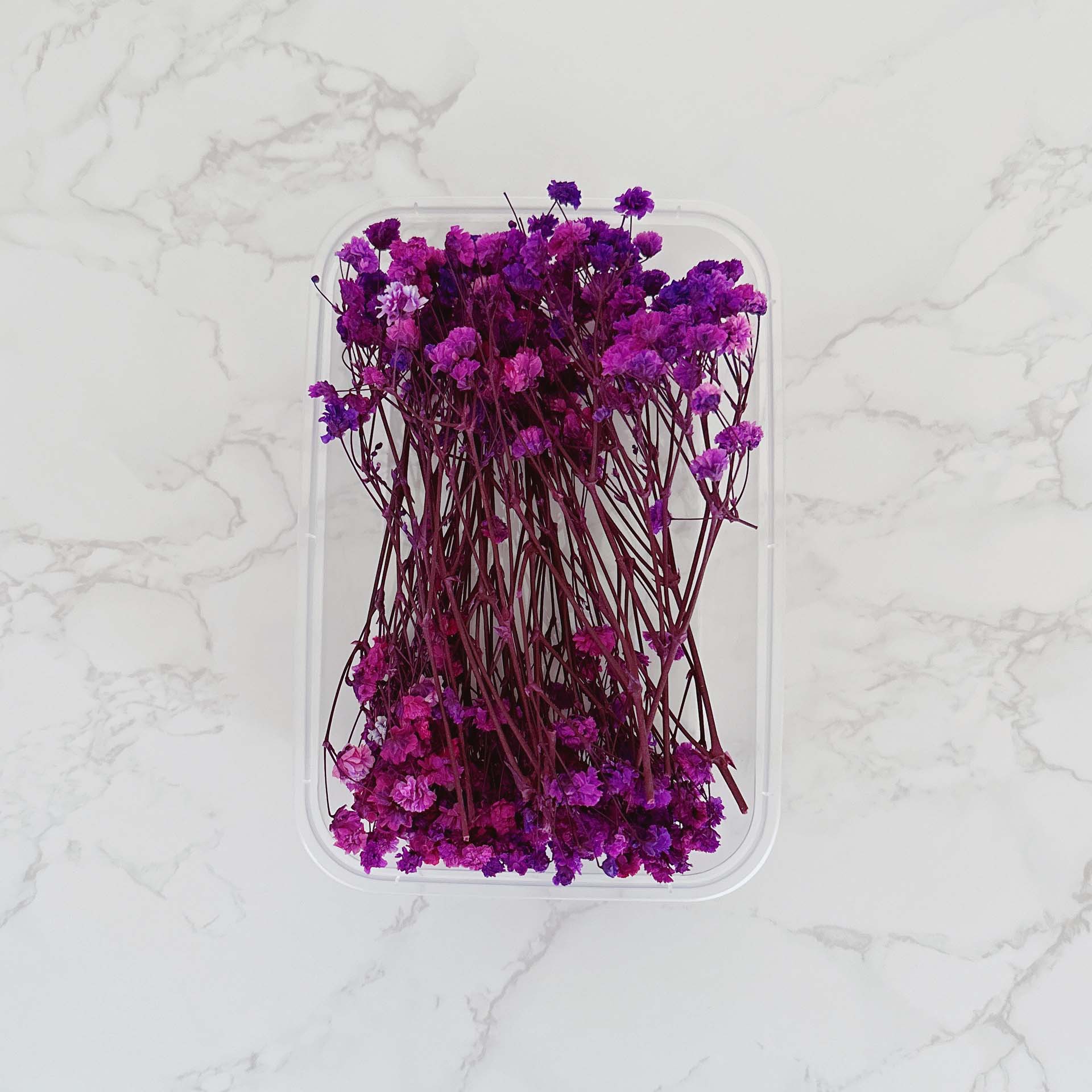 Cielo estrellado púrpura