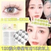 Sunflower 10 rows -transparent stalks [clear eye makeup]