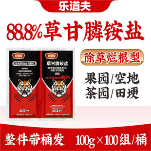 �ݸ�좳��ݠ������ݸ��׹��@�ĵ��s�ݲ��@�׸ʲ��׳��݄��ߝB͸