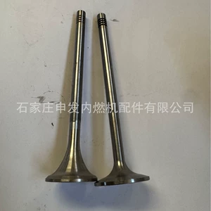 In stock: Scania (SCANIA) DC9 intake valve 1854798, exhaust valve 1781847