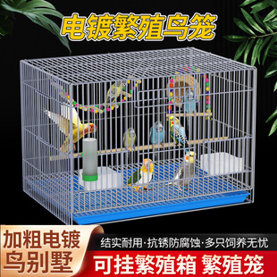 ���B�\�ӻ�Ƥ�W�^�e�����Pĵ���\�ӼӴּ��ܷ��P��ֳ�B�\����\