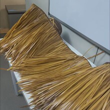 �ɾ����é��������ë�����������ȼ����������b��X�Ͻ�