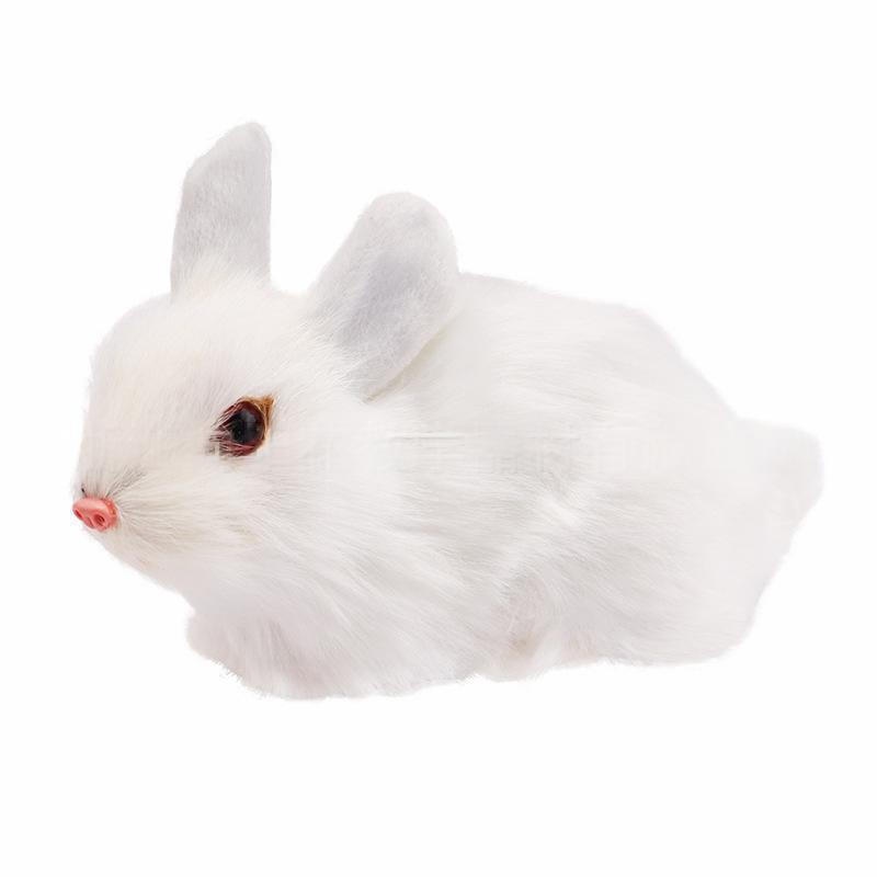 Simulation rabbit shape specimen biological teaching model Primary school science experiment equipment Student students with junior high school creatures