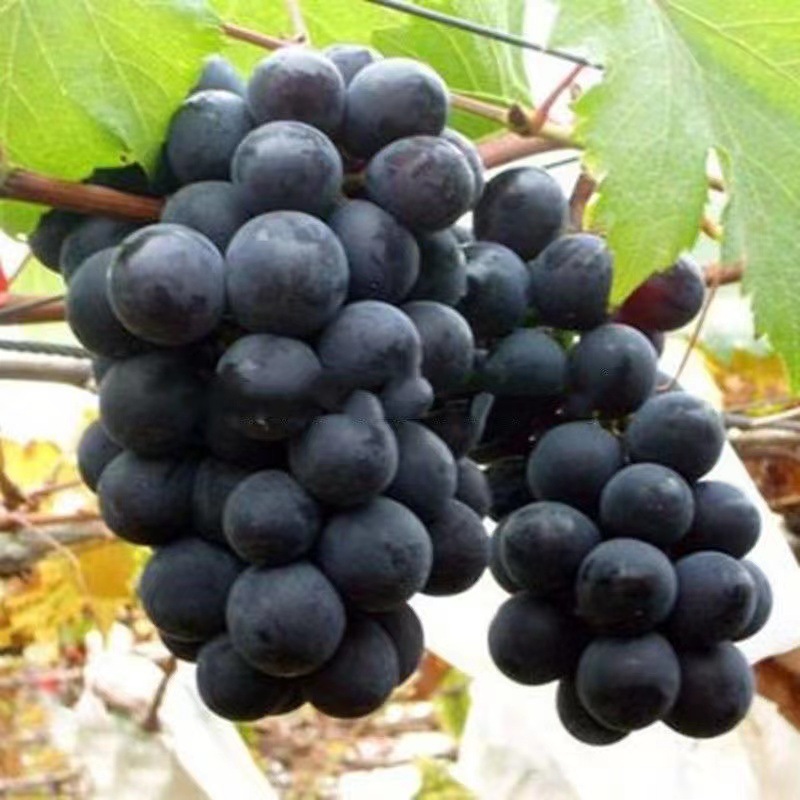 微信图片_20220902111850