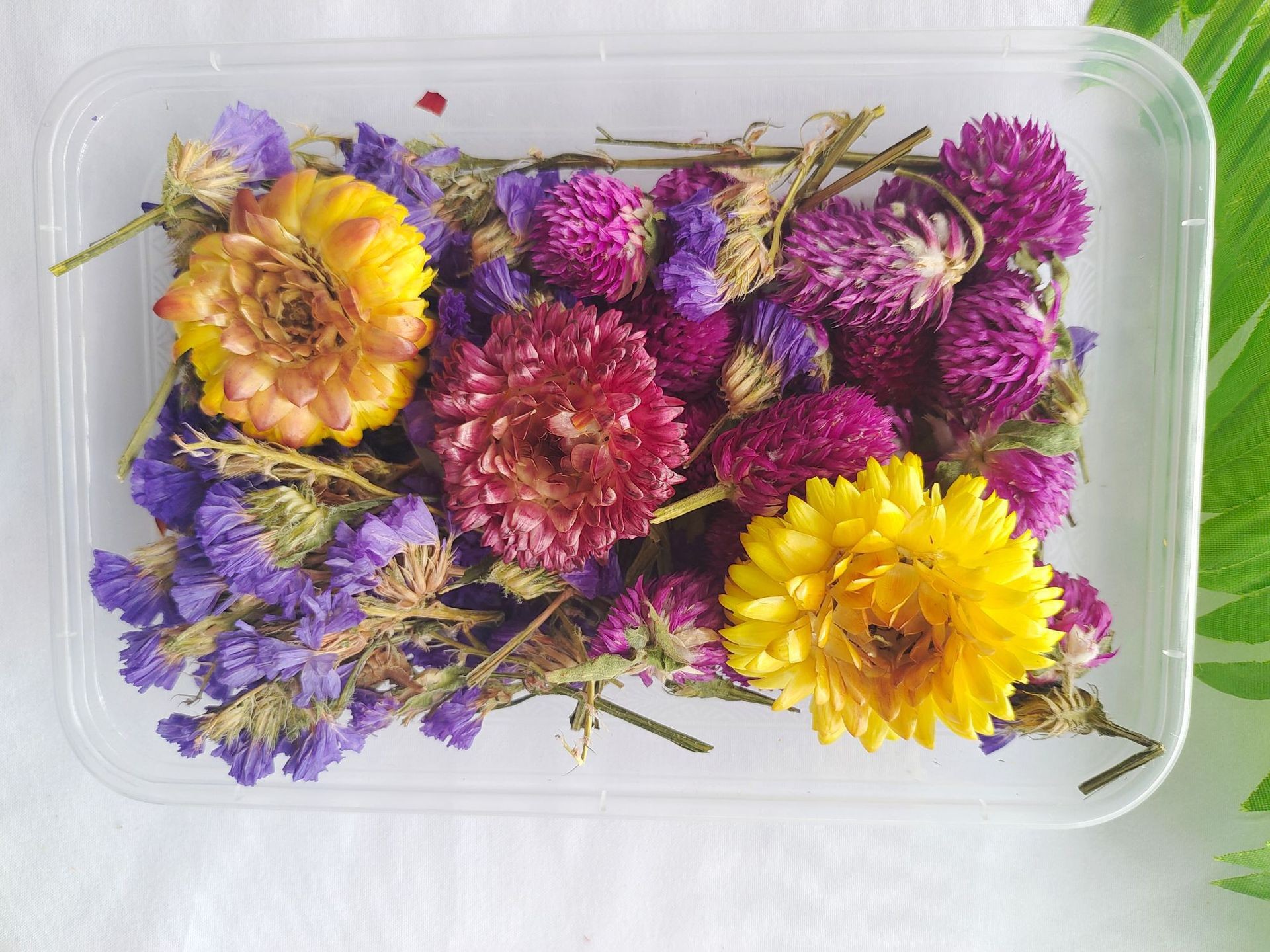 O1CN01Bmu4vo1hvJIGfNlcd_!!2213