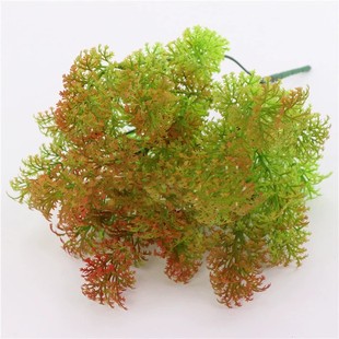 ����ֲ��Gֲ�����b�ֲ��Gֲ��������ϼٲ�̦�\���������