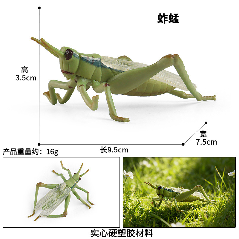 M-2715 Grasshopper