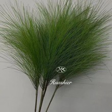 �����Rβ��3�����ɯ��ɭ��ϵ�Gֲܛ�b�쾰�߶˷���Gֲ�ٺ���