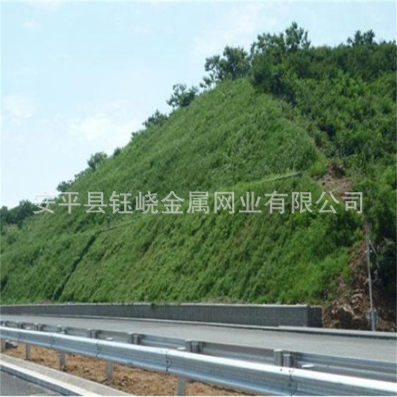 边坡绿化客土喷播植草荒山矿山复绿山体落石防护挂网铁丝网