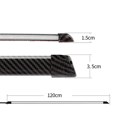External Carbon Fiber Pattern Car: Other lights