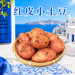 ��ϼtƤ�S�ķ�ŴС���� ���l3/5/9���S���R����й��r�����r�߲�