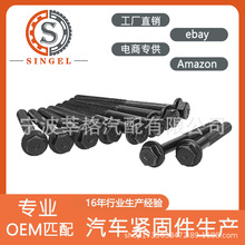 81007100/14-35733-01�����ڷ�����FIAT ������������˨�׼�