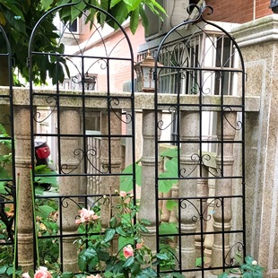 4 Pack Metal Garden Trellis 71 X 19.7 Rustproof Trellis