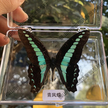 ������˱��[����չ���������x�˱����x�W����������͸�����b