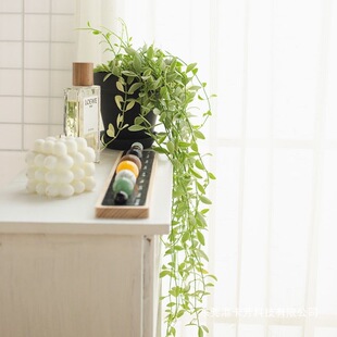 ��߅���m����L�����ٴ�����ڻ��~�Gֲ�҃ȱڒ�����ȩ�ֲ̨��