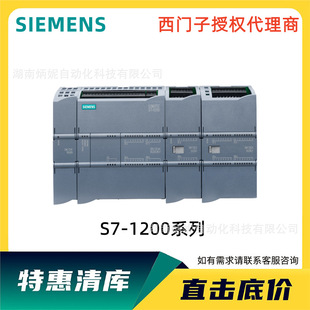 ���T��S7-1200 SM1221 1222 1223 1231 1232 1234 DC 1241ģ�KPLC