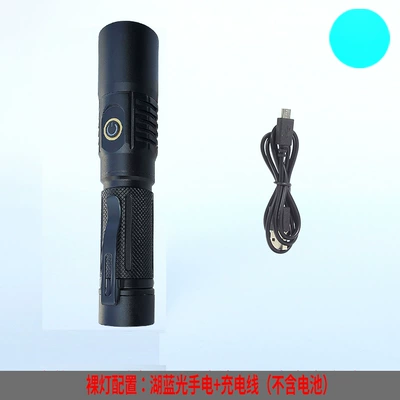 UV fənərlər: Red Light, Rechargeable, Strong Illumination, 21700 - 5050-lake-blue-light-bare-bulb-battery-not-included
