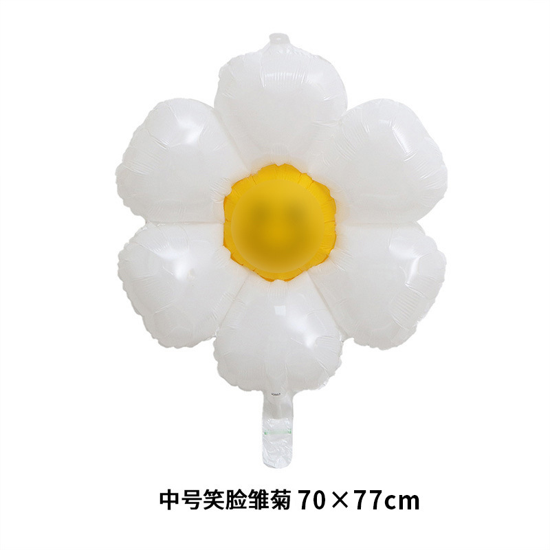 Daisy Smiley moyen