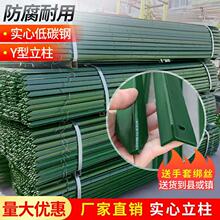 F߅UFzWoڌļY䓹ټ֧ΗU