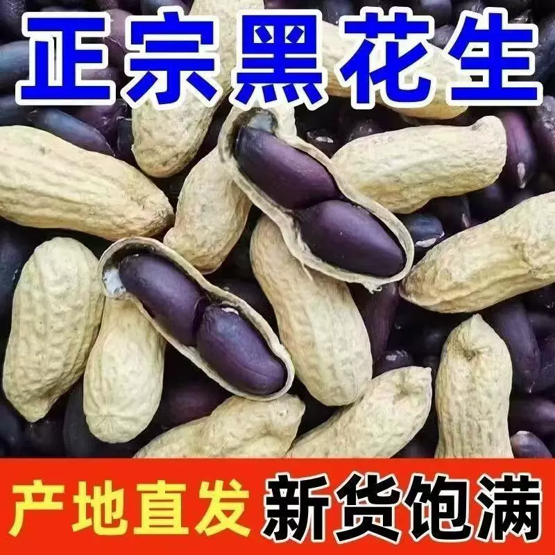 黑花生2025新鲜现挖现卖壳薄仁嫩人工挑选颗粒饱满黑花生