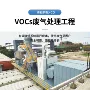 co燃烧定制处理沸石