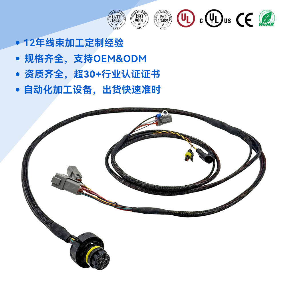 宝马车系变速箱传感器线束定制420973716 16P汽车变速箱线束总成