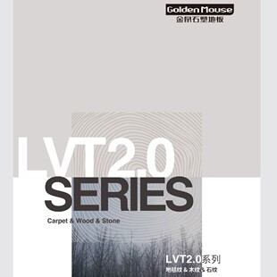 ���A����LVT�ذ�2.0ʯ�ܵذ�PVCƬ�ĵ�̺�yʯ�yľ�y��ݵذ�M�