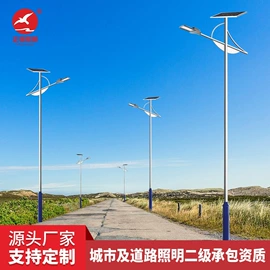太阳能灯;道路照明灯;路灯
