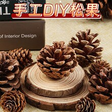 �}�Q���ɹ������b�diy���ϰ��׃��@�b[���ɻ��h����֦